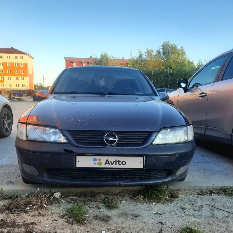 Opel Vectra: фото владельца