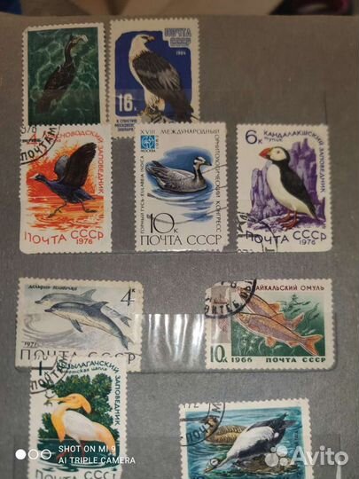 Почтовые марки СССР