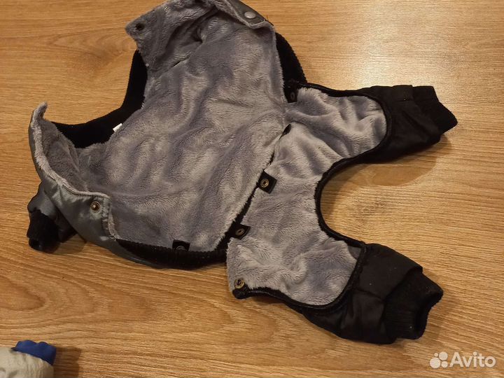 Одежда для маленьких пород собак