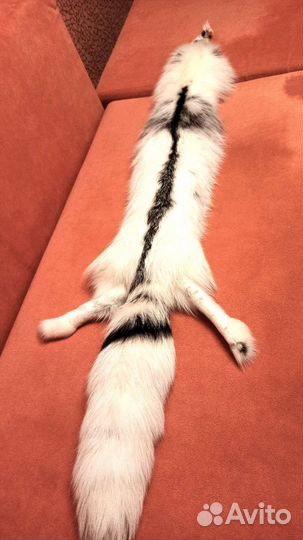 Шкурка белой арктической лисицы