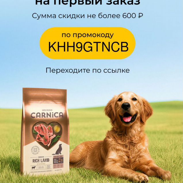 Промокод в зоозавр