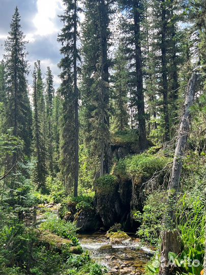 Тур на квадроциклах