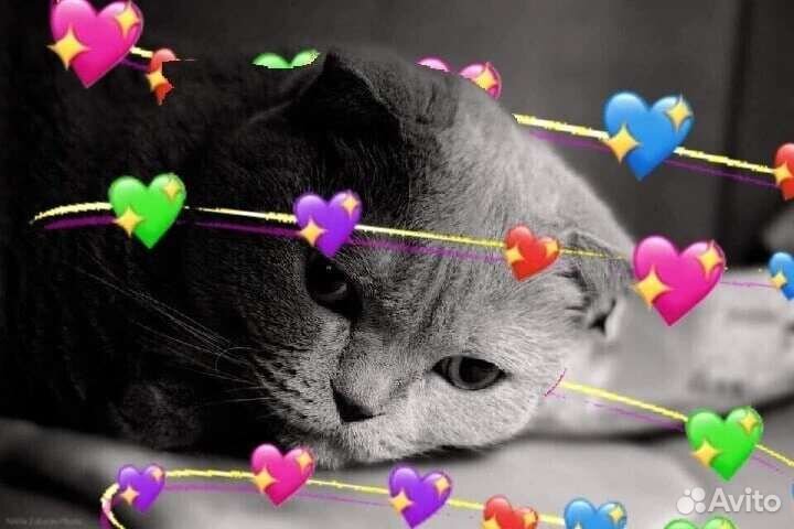 Продам фотки