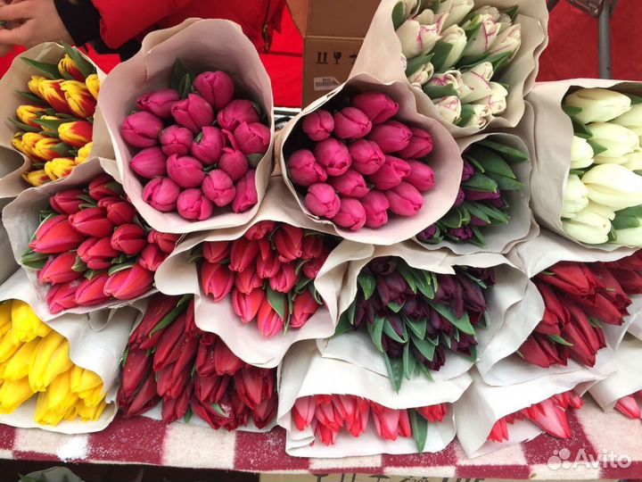 Тюльпаны оптом / Тюльпаны на 8 марта