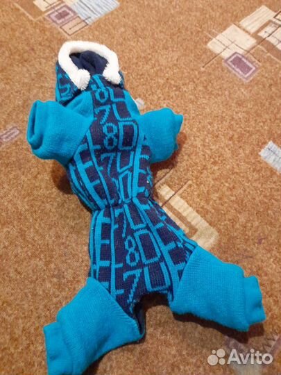 Одежда для маленьких пород собак