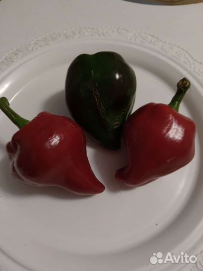 Семена сладкого перца Леся