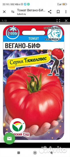 Рассада томатов