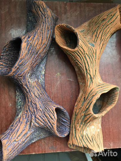 Криптокорина Балансе В gigantea,мангровые коряги