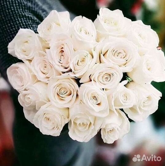 101 Роза Цветы Букеты 51 25 Роз Доставка