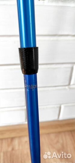 Палки для скандинавской ходьбы телескопические