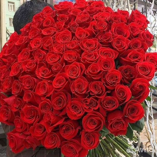 Букет роз 101 роза 51 роза