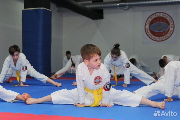 Каратэ Шотокан