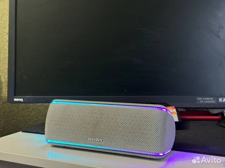 Sony srs xb31