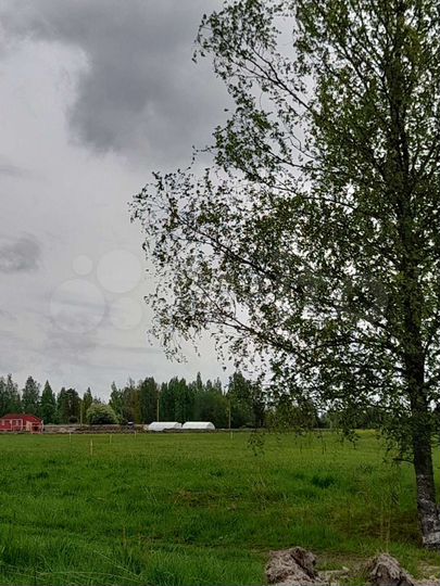 Участок 34 сот. (СНТ, ДНП)