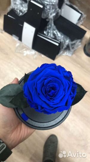 Вечная роза в колбе