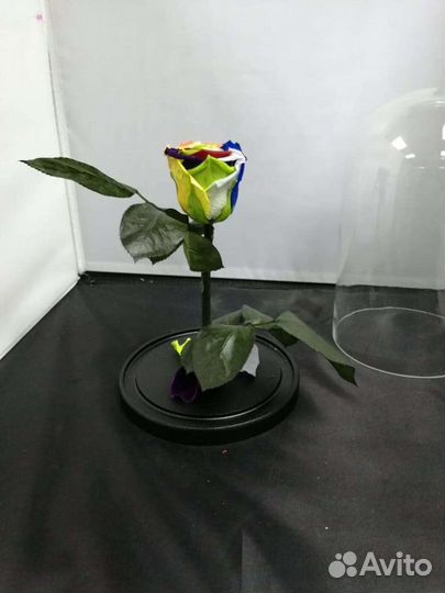 Роза в колбе оптом
