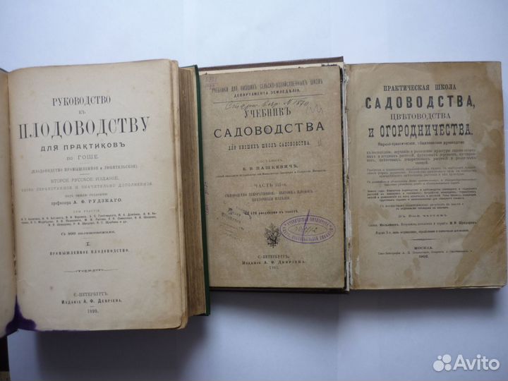 Пашкевич В.В. Учебник садоводства для низших школ