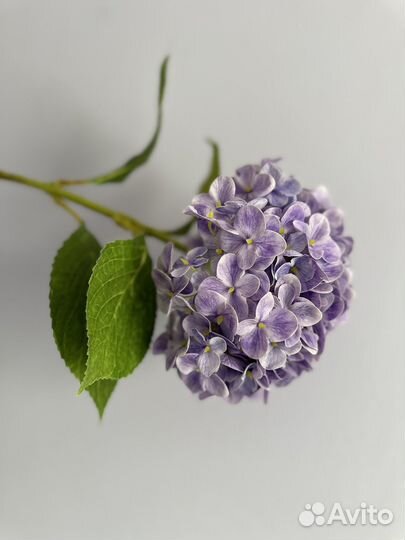 Гортензия искусственная