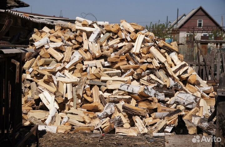 Дрова береза