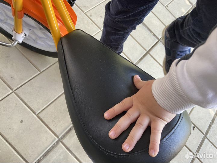 Трехколесный велосипед Зубренок