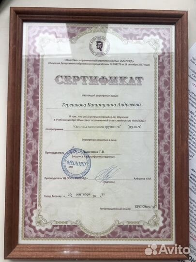 Стрижка и экспресс линька кошек