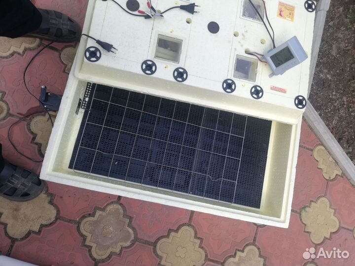 Инкубаторы для яиц