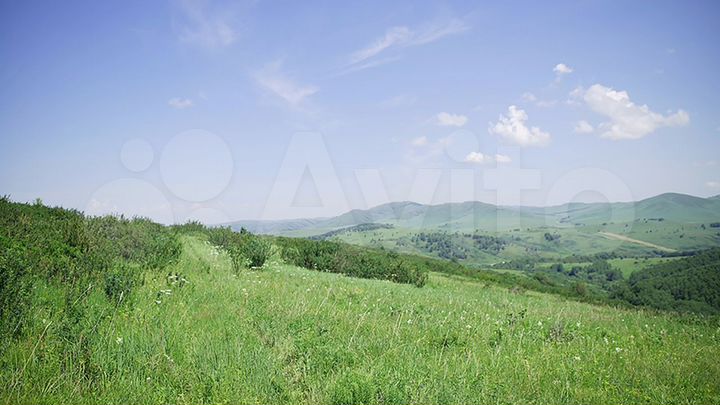 Участок 55,5 га (СНТ, ДНП)