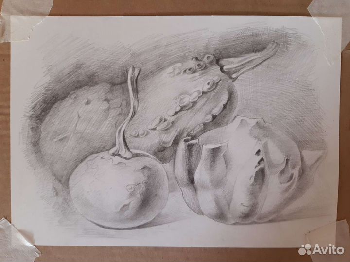 Репетитор по рисунку и живописи