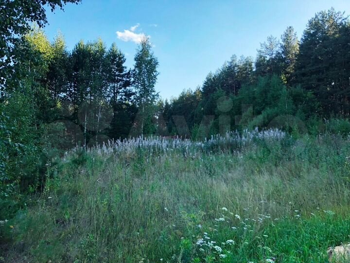 Участок 2,5 га (ИЖС)