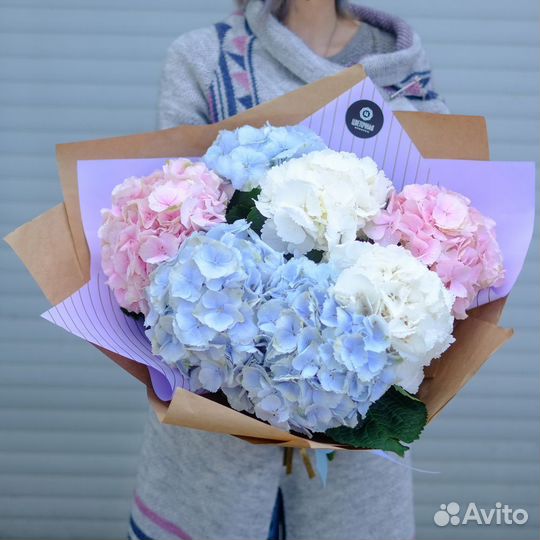 Гортензия букет цветы