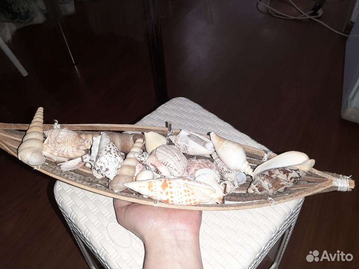 Морские ракушки для декора