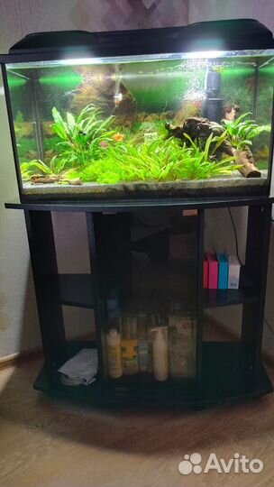 Аквариум с тумбой