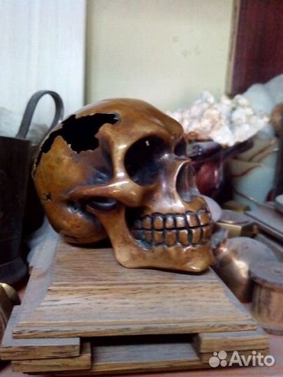 Бронзовый череп