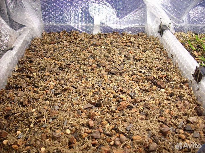 Грибной компост в мешках