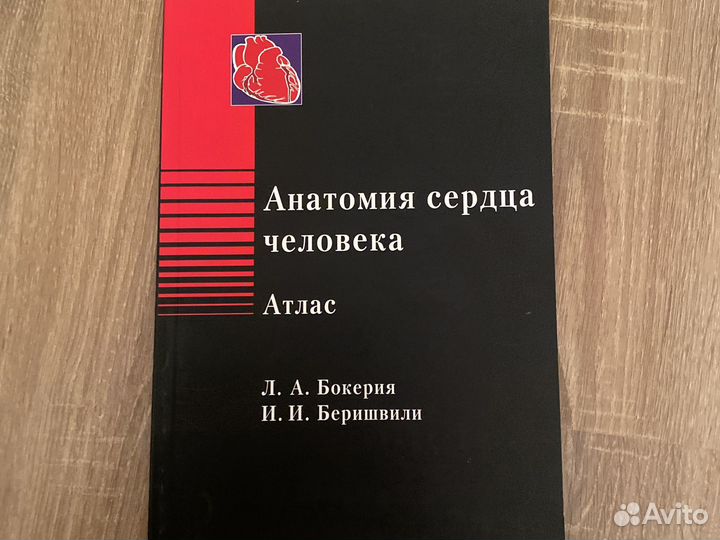 Анатомия сердца человека. Бокерия