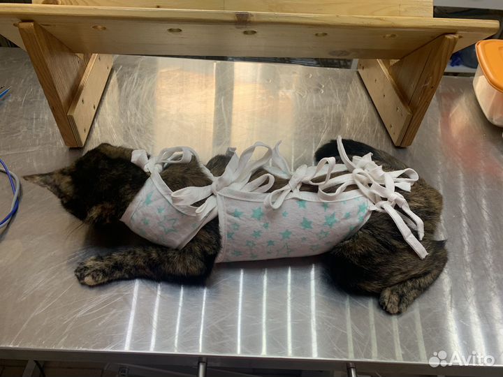 Ветеринарные услуги