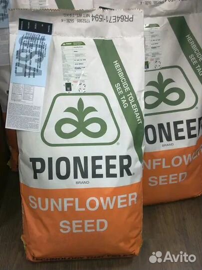 Pioneer P63LE10 (импортный гибрид)