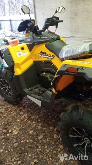 Квадроцикл. Снего-Болотоход. Stels атv 650 Guepard