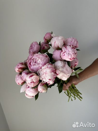 Пионы, букеты из пионов
