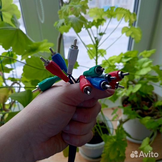 Тюльпаны к 8 марта