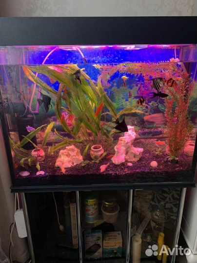 Аквариум с тумбой