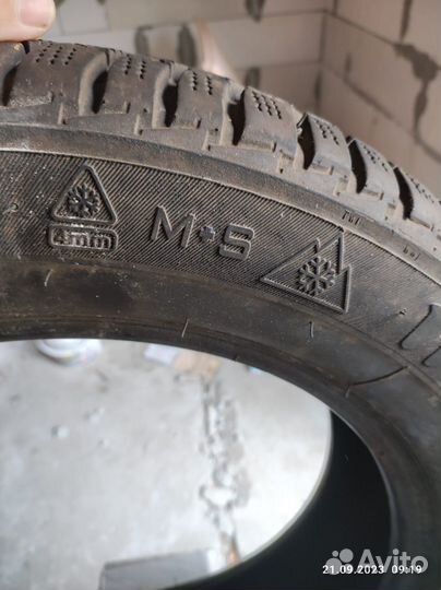 Targum Winter 4 215/55 R17 S