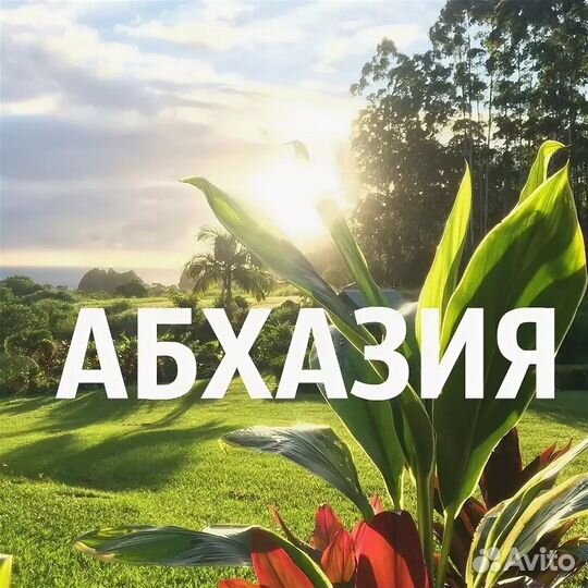 Абхазия Гагра, Магнолия Гостиница 26.07