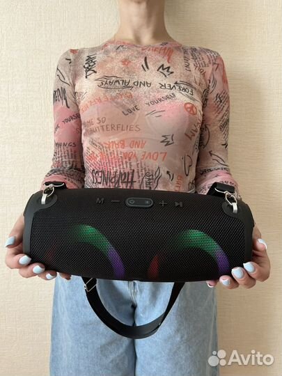 Колонка JBL Extreme 2+