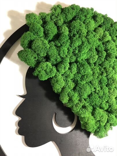 Африканка панно 50см мох