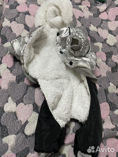 Одежда для собак мелких пород