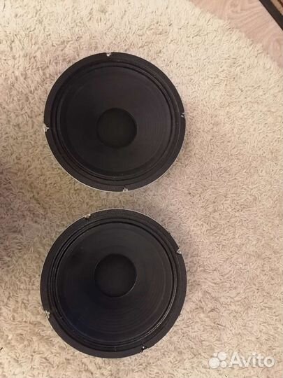 Celestion Classic Lead 80 (гитарный динамик)