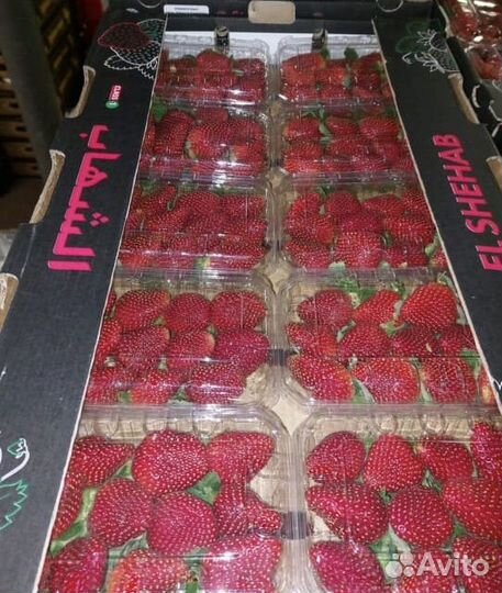 Клубника свежая