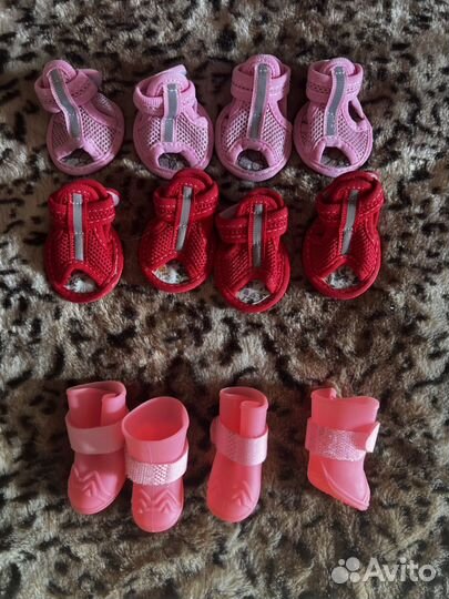 Обувь для маленьких собак