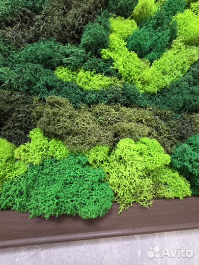 Панно из стабилизированного мха